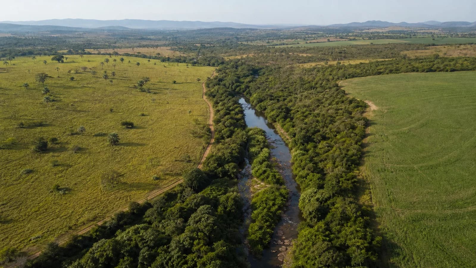 Área produtiva ao lado de vegetação nativa e curso d'água preservado